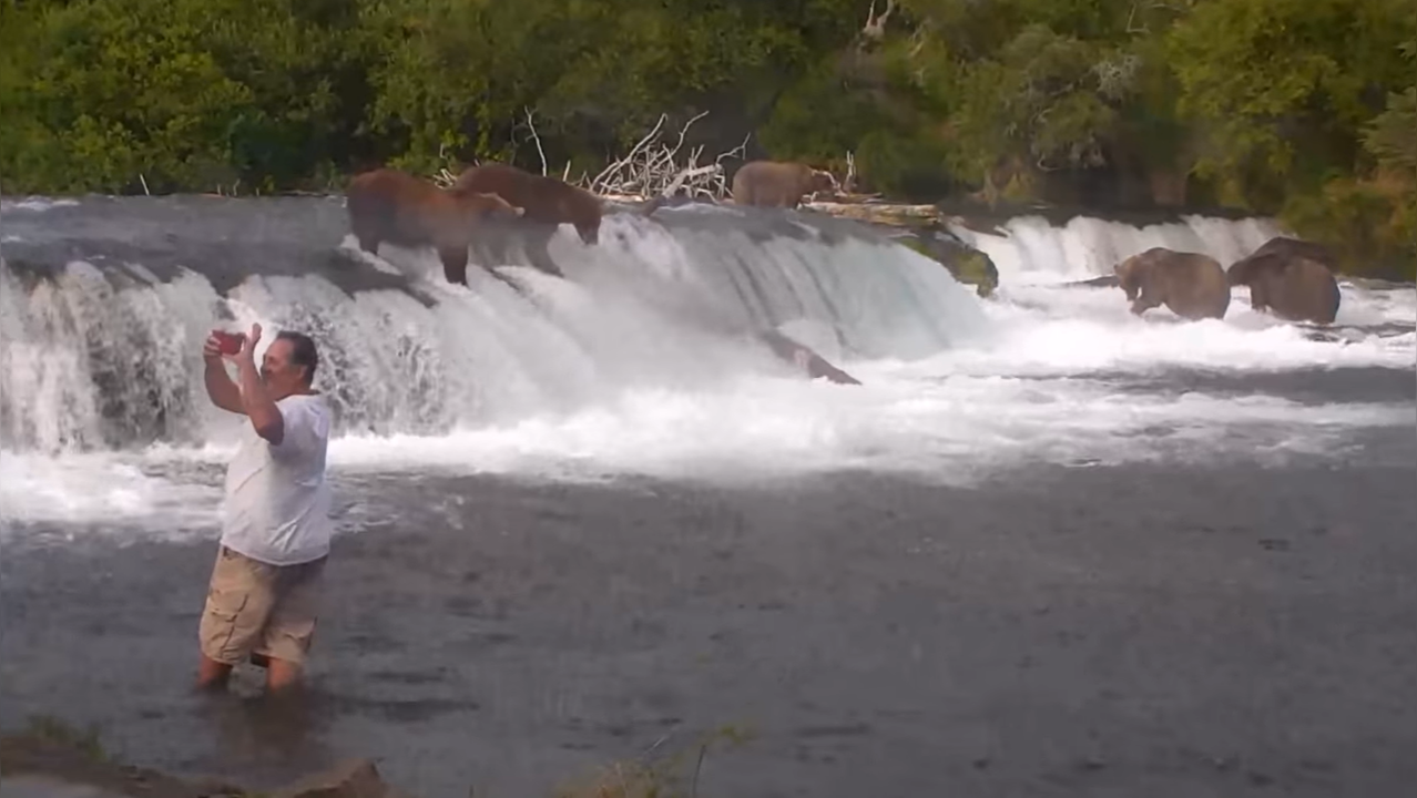 Men jailed for taking selfies with bears