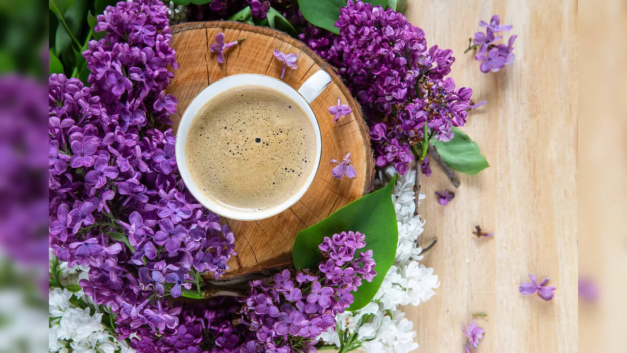 Let your health blossom 5 edible flowers that you must add to your diet