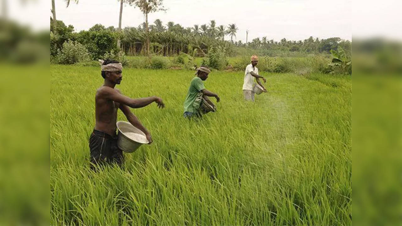 Food grain production