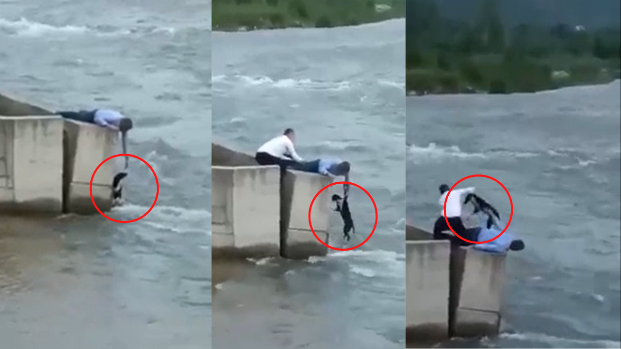 Man skips wedding ceremony to save dog from drowning