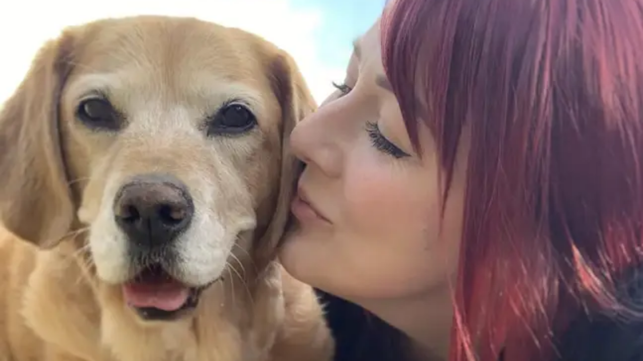 Woman quits her job to help dying pet dog complete a bucket list | Viral  News, Times Now