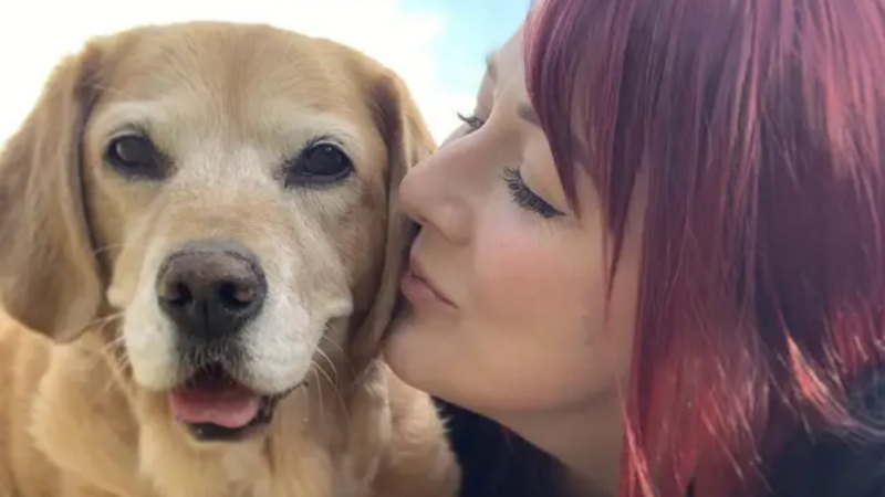 Woman quits her job to help dying pet dog complete a bucket list