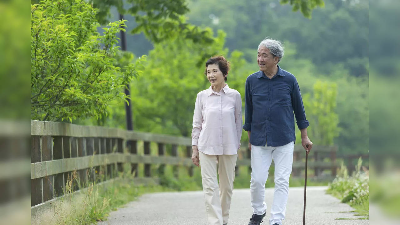 Old Japanese couple on a walk