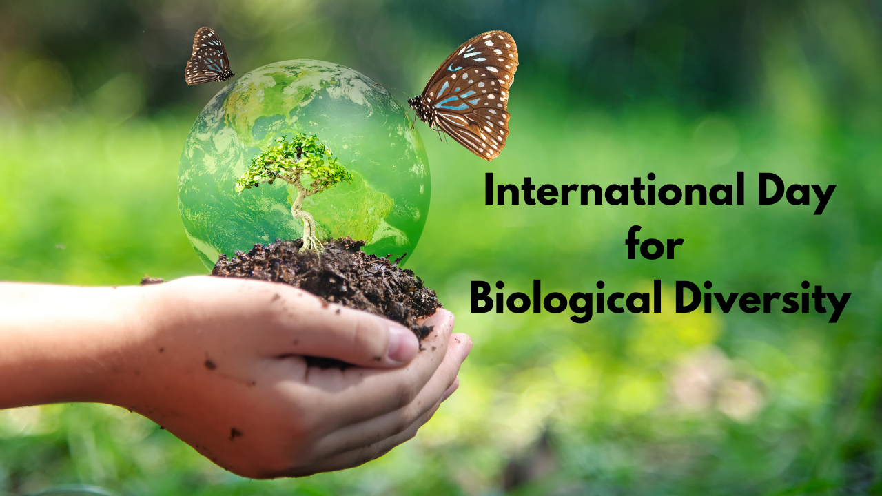World Biodiversity Day International Day for Biological Diversity 2022