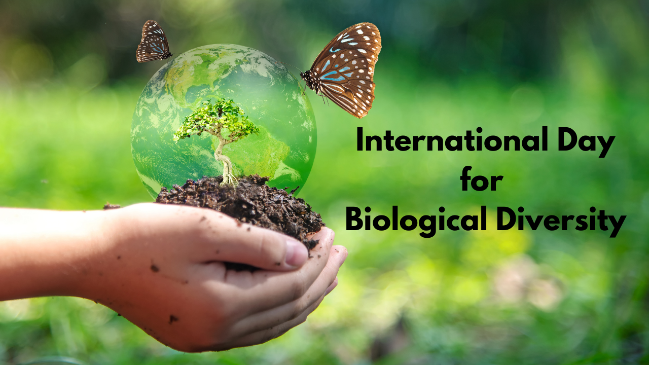 World Biodiversity Day