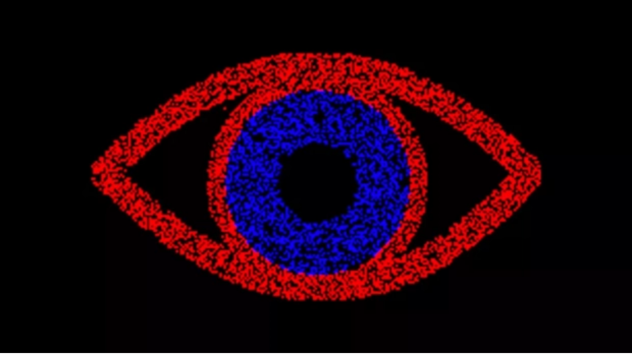 Everyone sees this optical illusion differently. Does the outline look red  or blue to you?