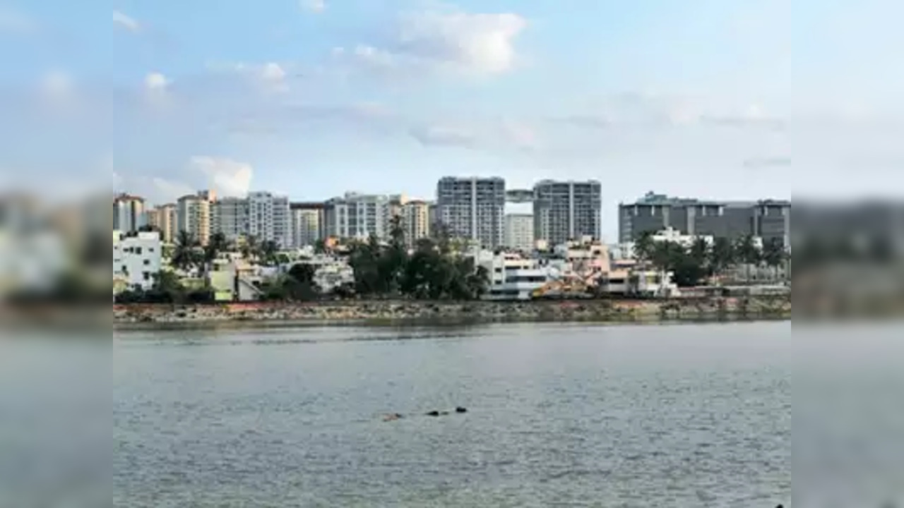 amruthahalli lake.