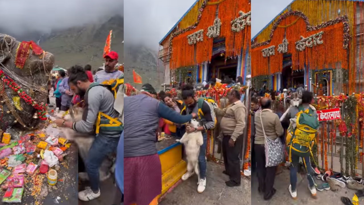 Noida man booked for taking dog to Kedarnath Temple