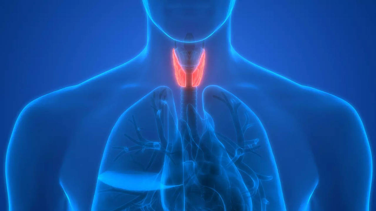 Effective dietary tips for people suffering from thyroid