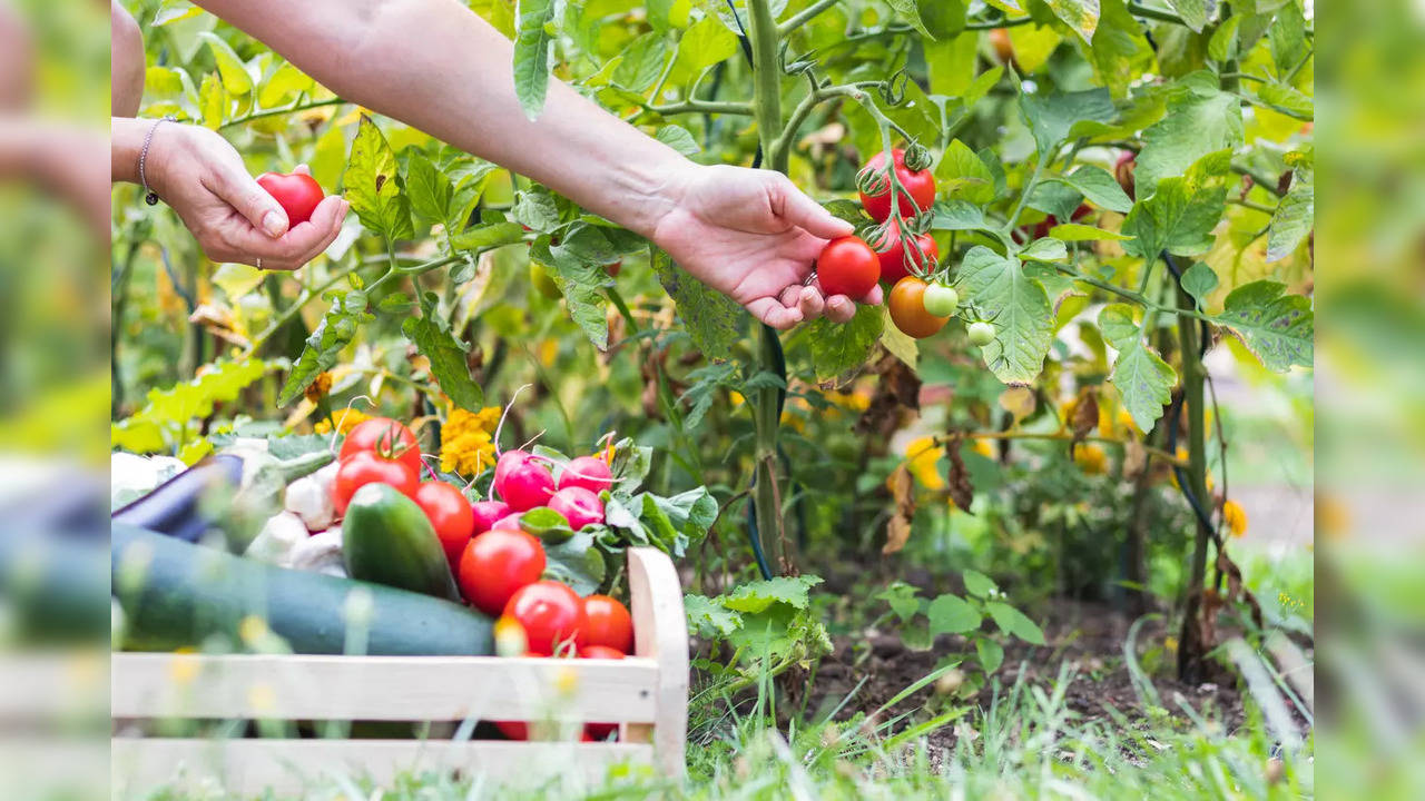 Have you tried the gardening diet?