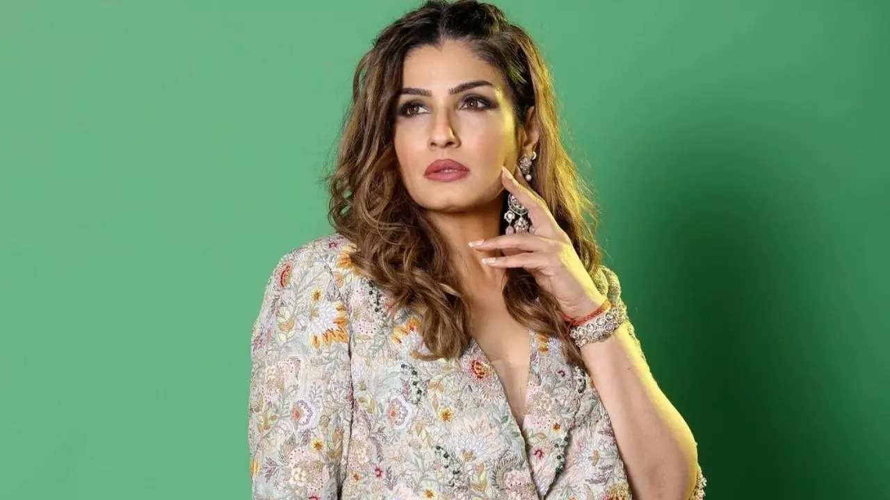 Raveena Tandon on Hindi v/s South films debate