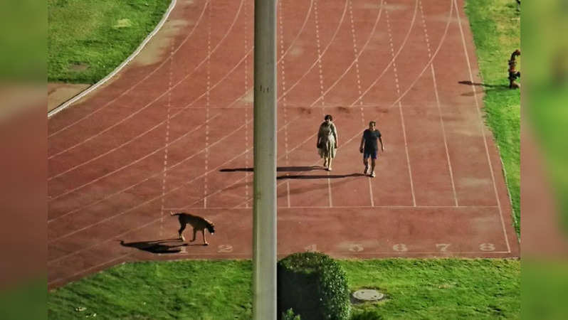 ​IAS couple used to walk their dog at a stadium in Delhi ​