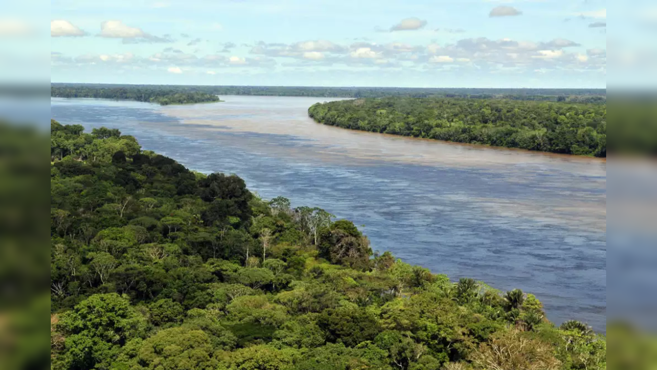 Amazon river doesn't have any bridges over it