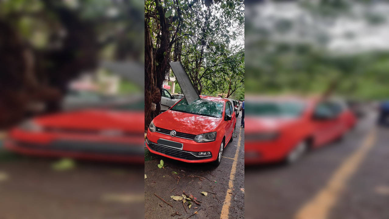 Metal object pierces car in the aftermath of Delhi rains