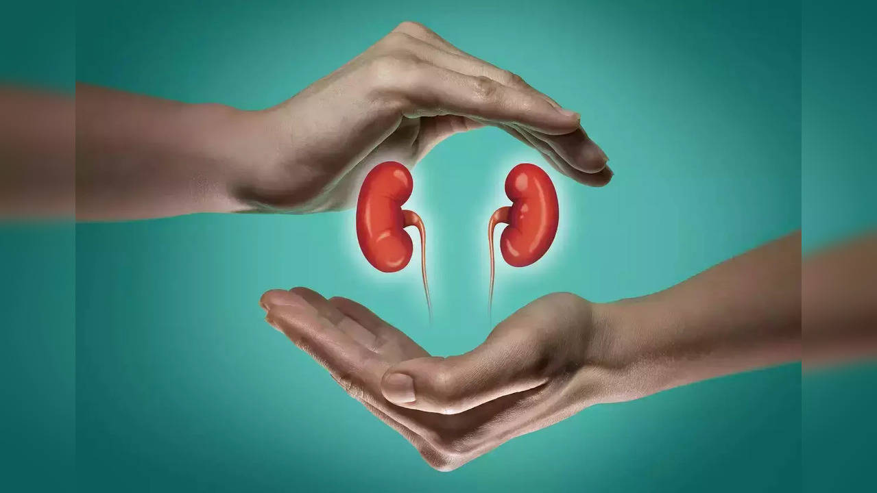 Kidney