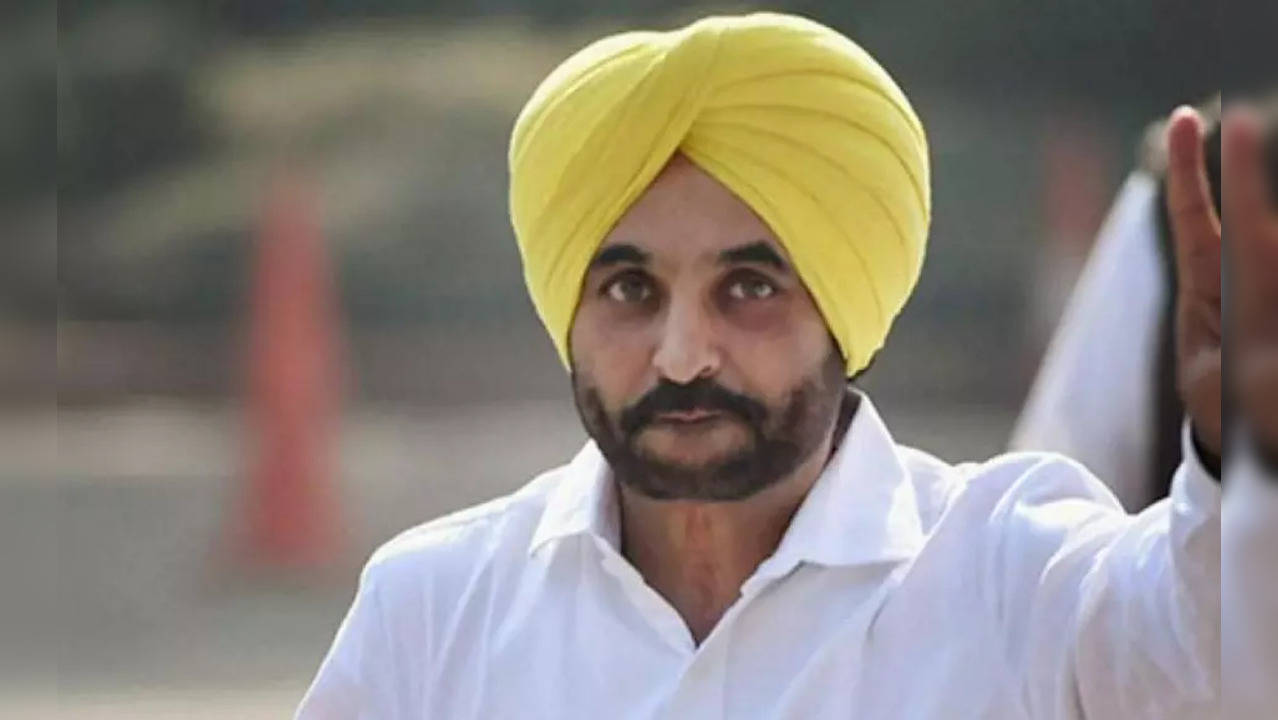 punjab-cm-bhagwant-mann-meets-arvind-kejriwal-in-delhi-india-news