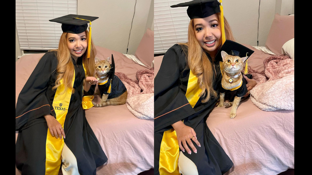 Cat 'graduates' from university after attending every class on Zoom