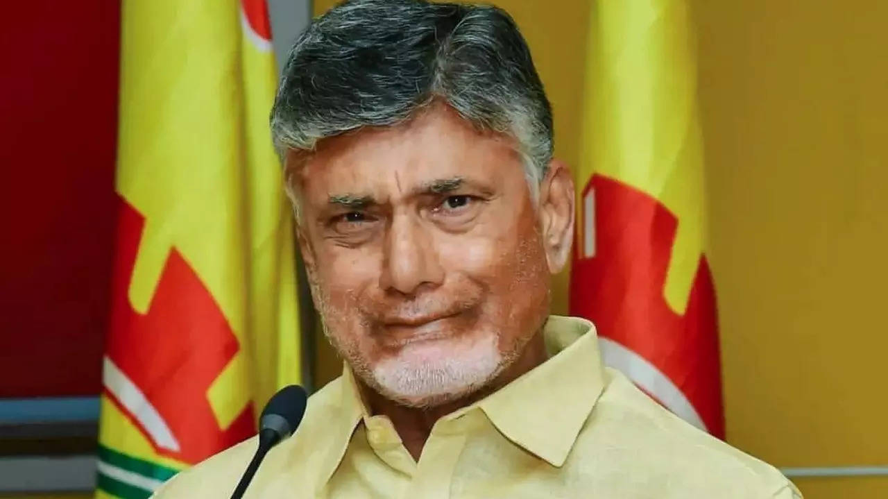 N Chandrababu Naidu PTI