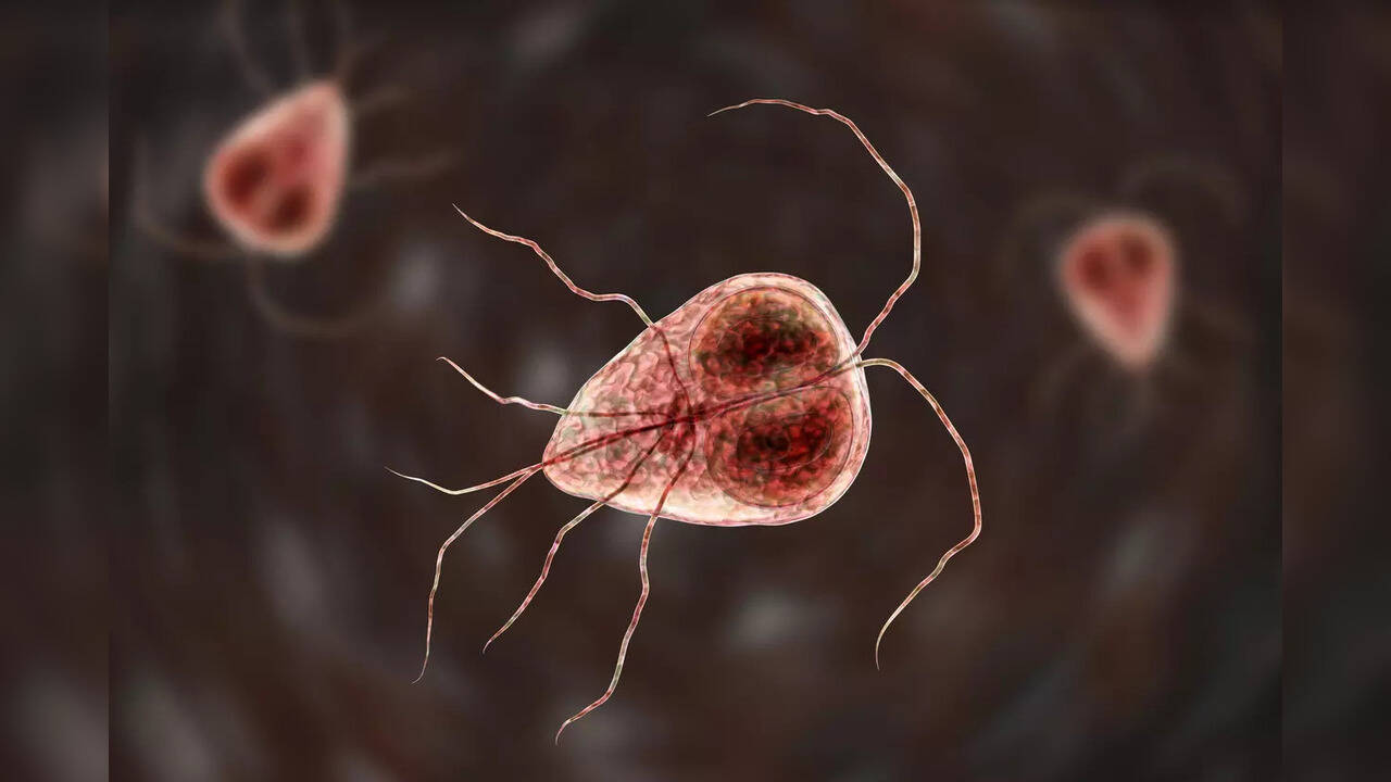 Giardiasis All about the parasitic infection Health News, Times Now