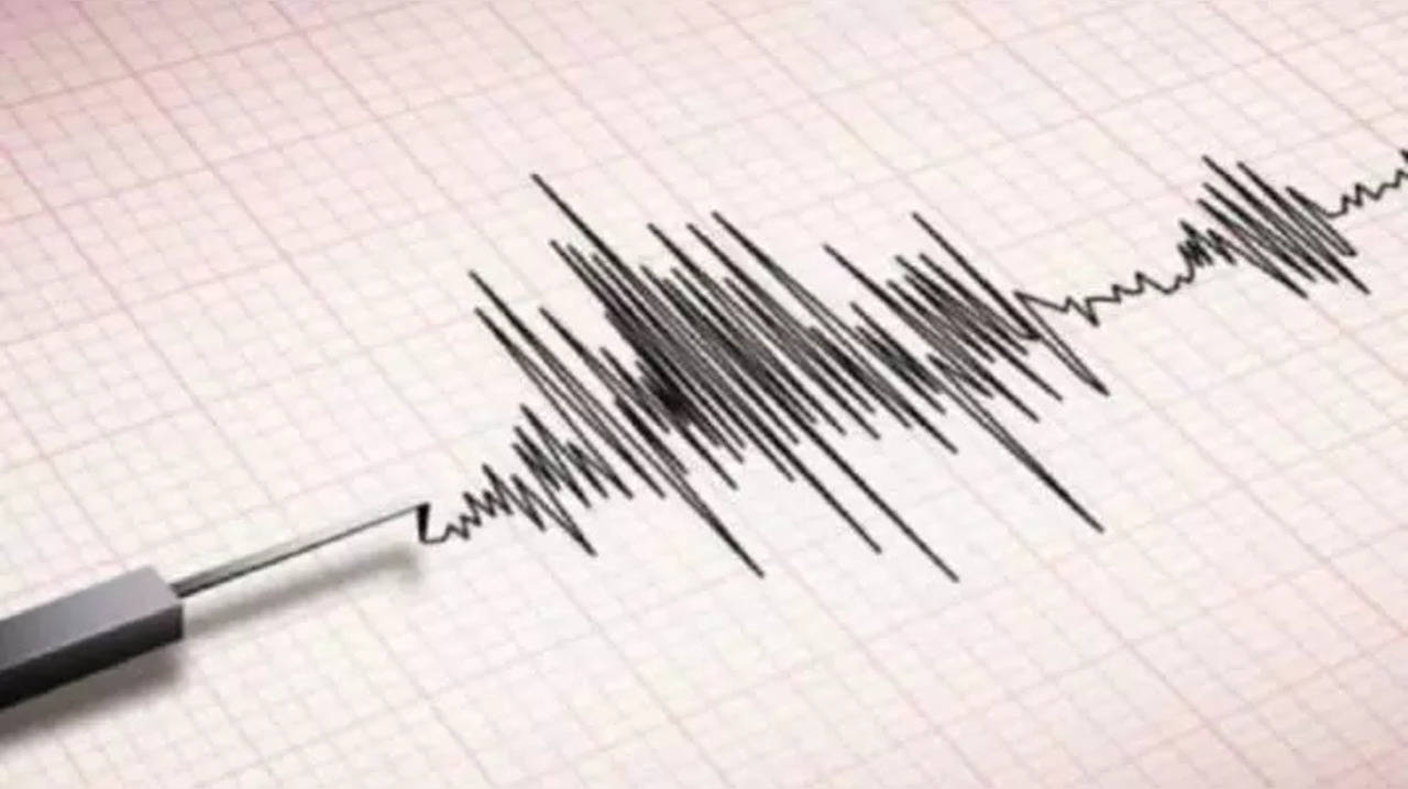 Magnitude 4.6 earthquake strikes Andaman Sea