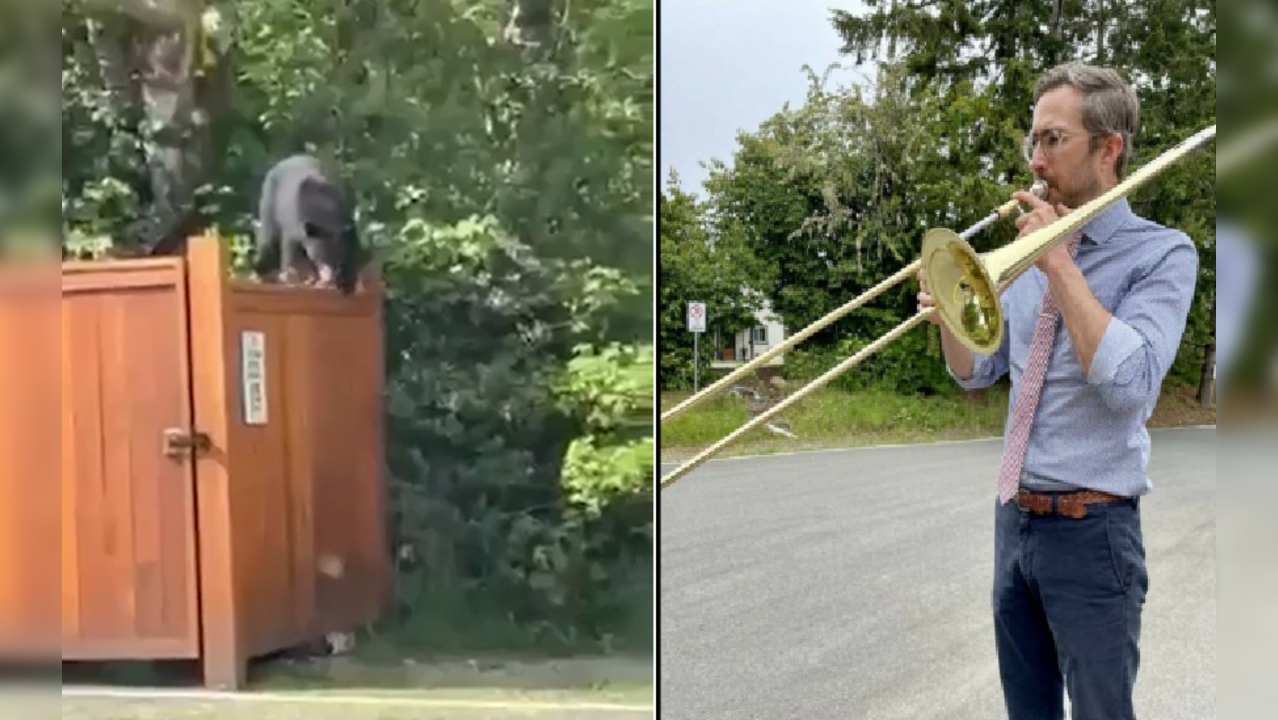 Music teacher plays trombone to scare away bear