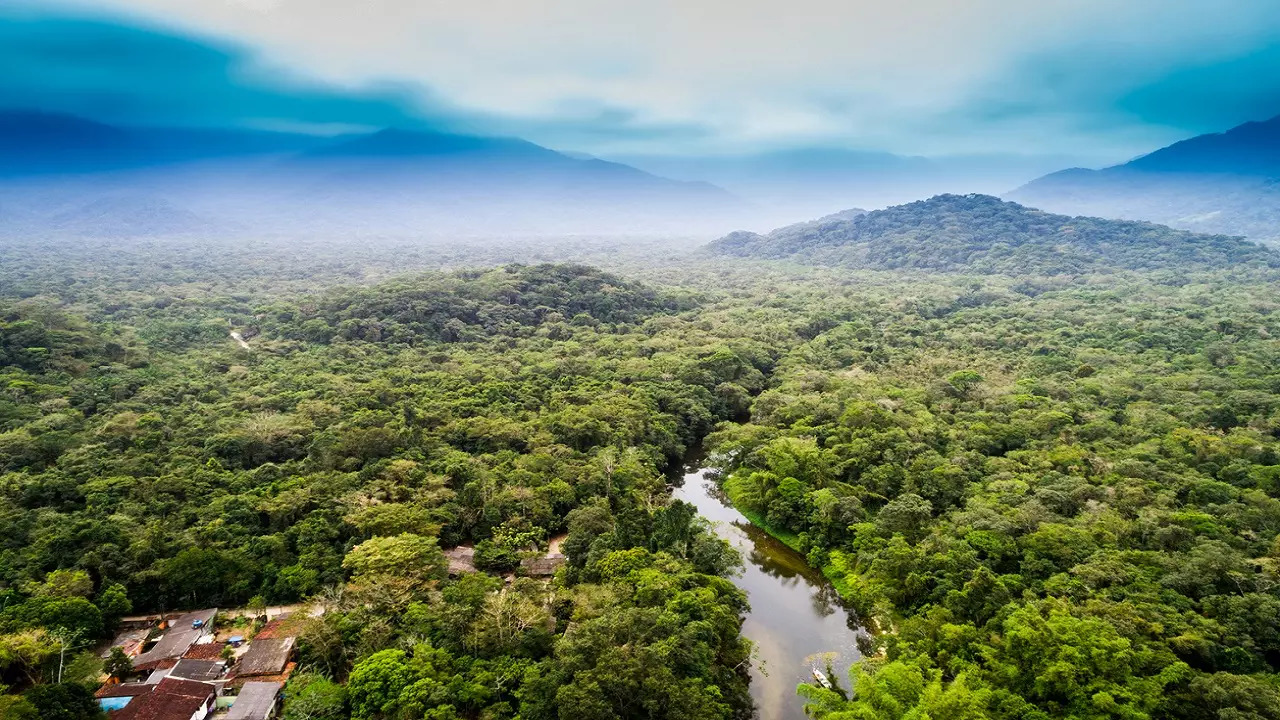 Aerial View of Amazon Rainforest