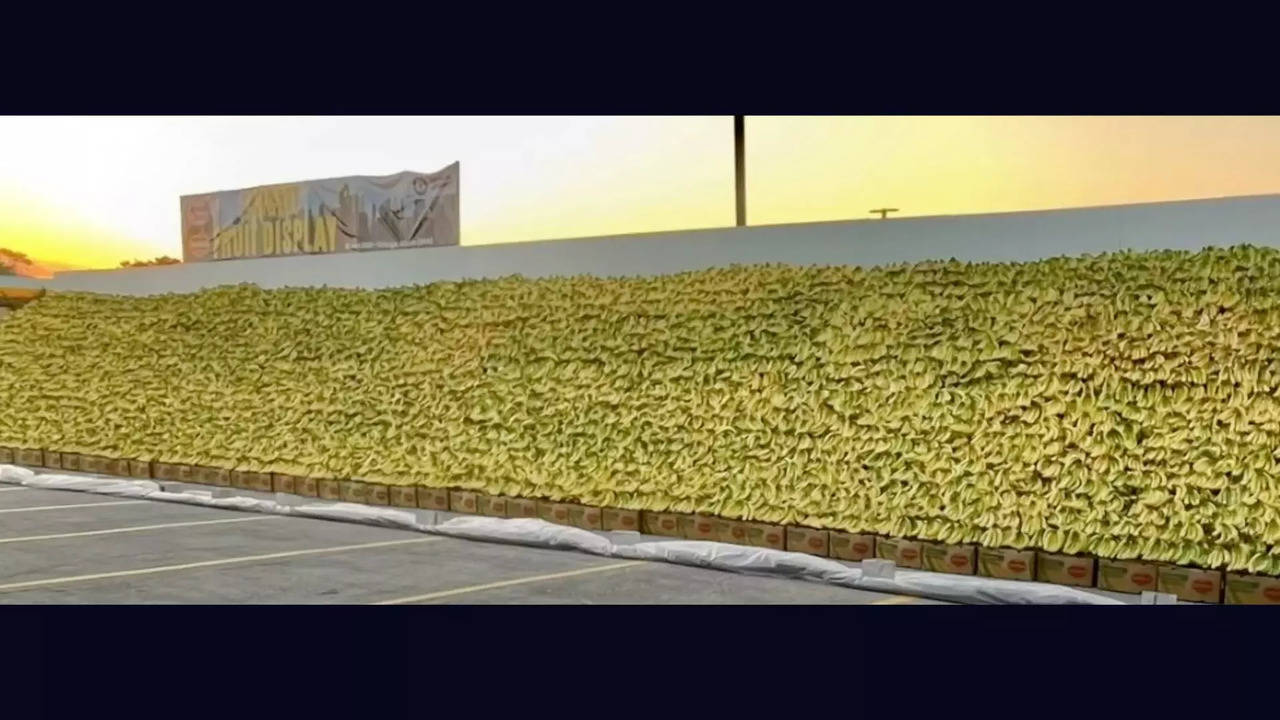 World's largest fruit stand featuring more than 70,000 pounds of bananas | Picture courtesy: Dean Timson/ CBS Chicago