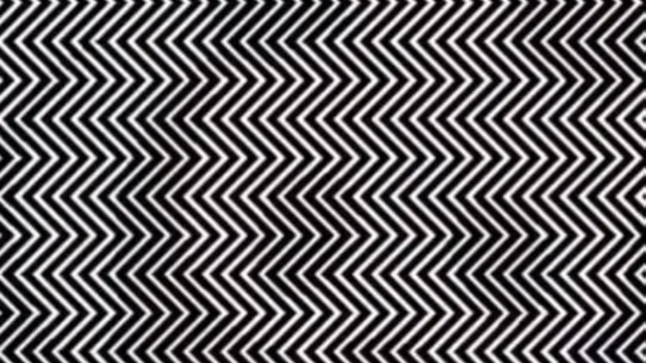 Find the hidden image in this optical illusion