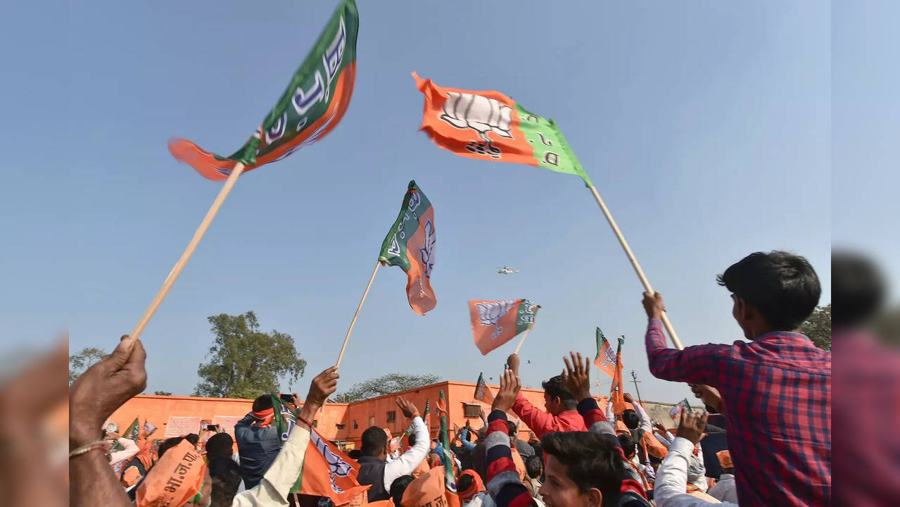 bjp flags