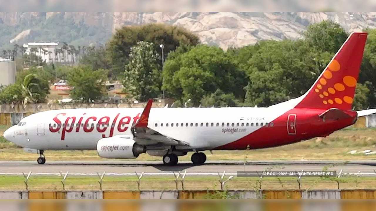 SpiceJet launches SkyMall on its in-flight en-tertainment platform