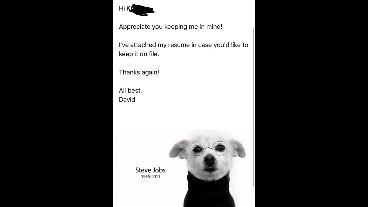 Man sends photo of dog dressed as Steve Jobs instead of resume