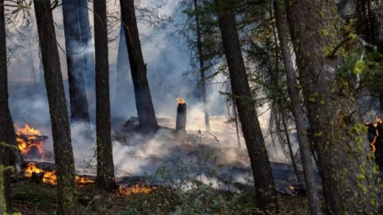 Wildfire in Catalonia