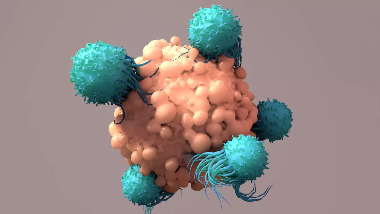 Cancer T cells