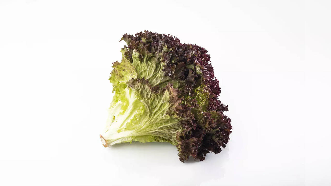 Red leaf lettuce