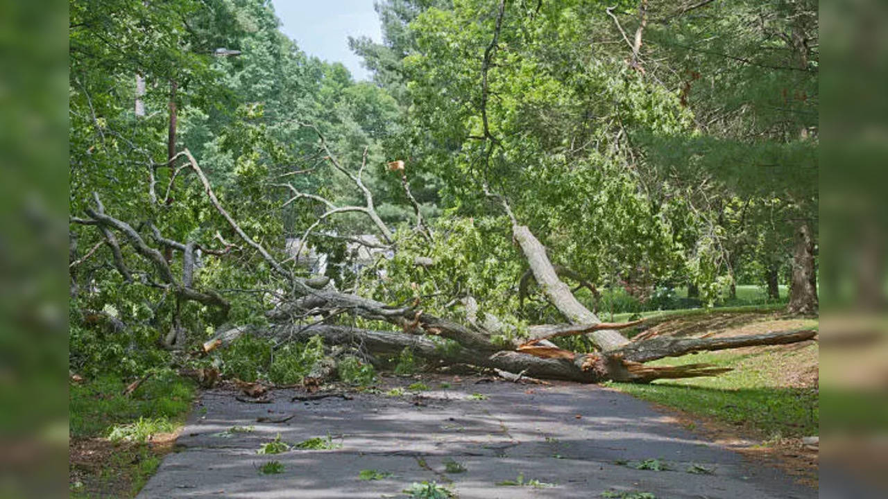 istockphoto-caved in road