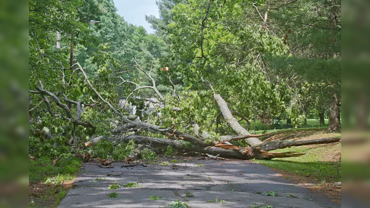 istockphoto-caved in road