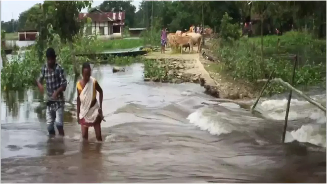 assam floods ani.