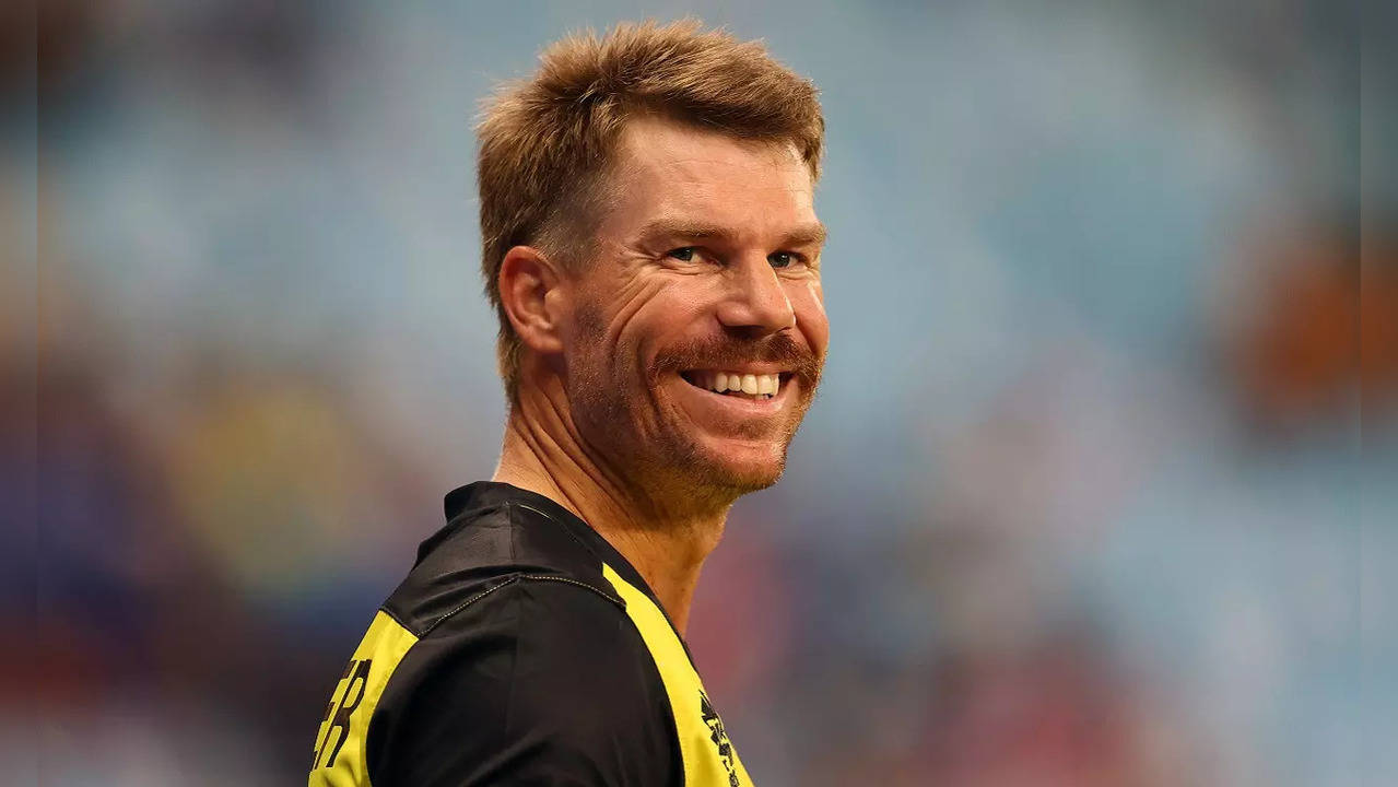 David Warner captaincy