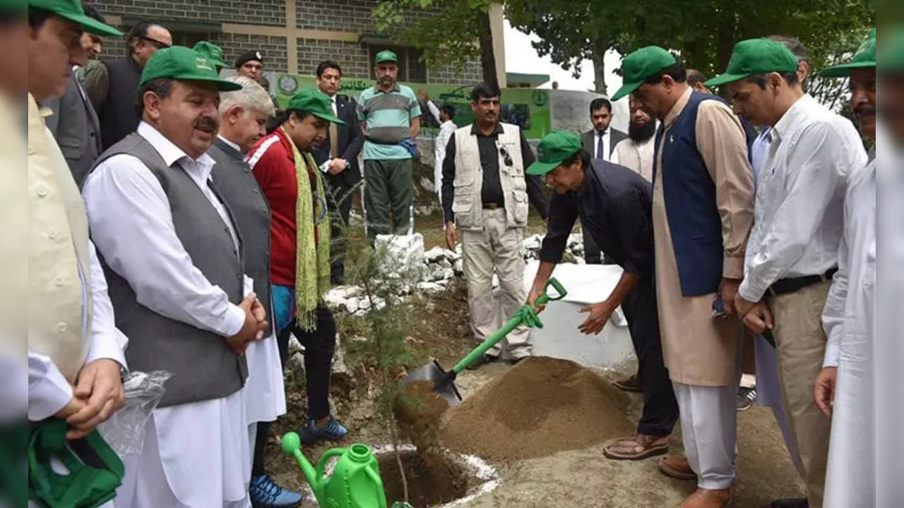 Plantation drive - PTI