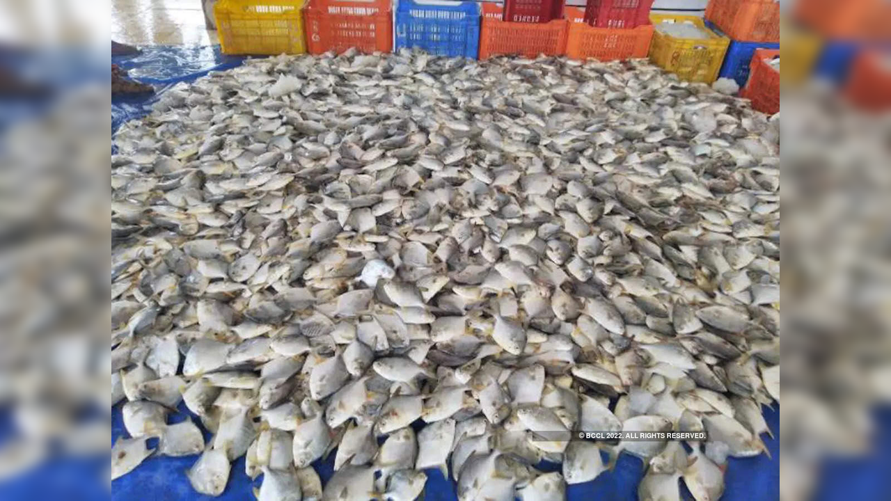 India's marine products export rises 30 to about USD 8 bn in FY'22