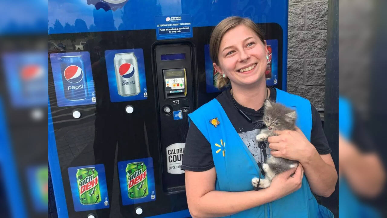 A kitten was rescued from inside a Pepsi machine at a Walmart in Tennessee, USA | Picture courtesy: facebook.com/CityofMorristown