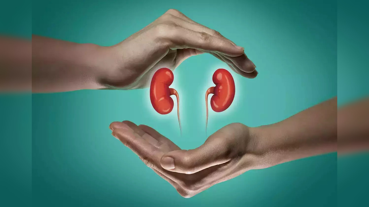 Kidney-creatinine