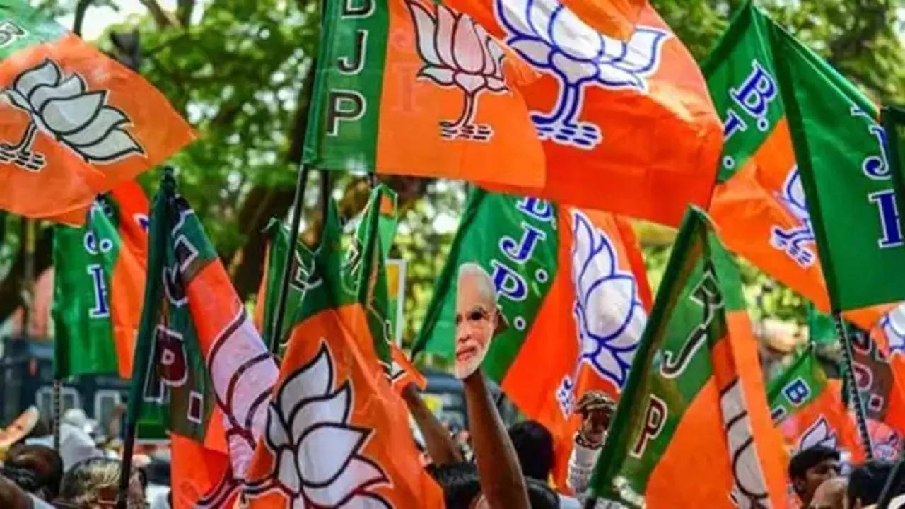 bjp flags