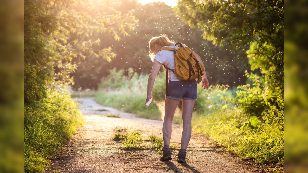 Different types of insect bites: How to avoid, detect, treat flea ...