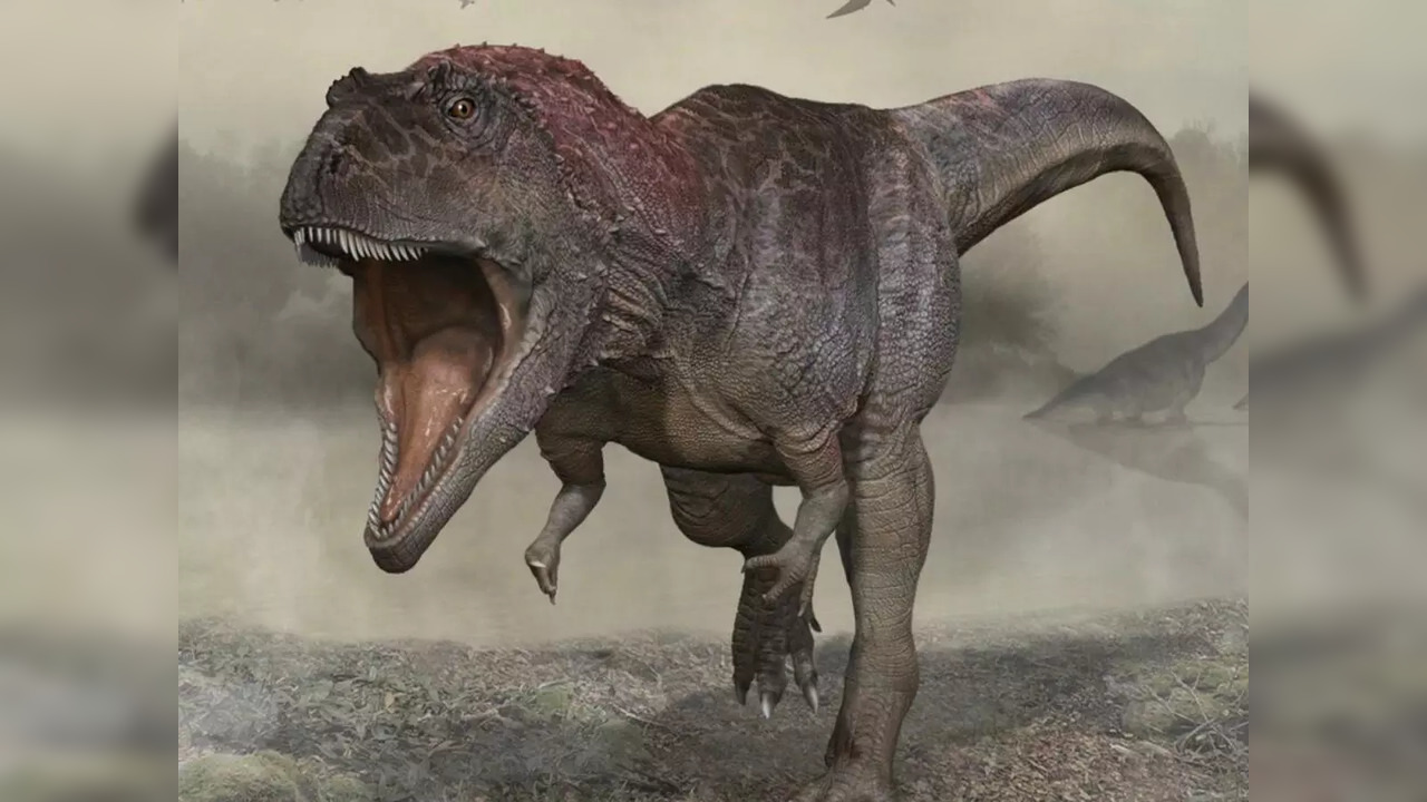 An artist's impression of Meraxes gigas, the recently-discovered dinosaur species | Picture courtesy: Carlos Papolio University of Minnesota/AFP