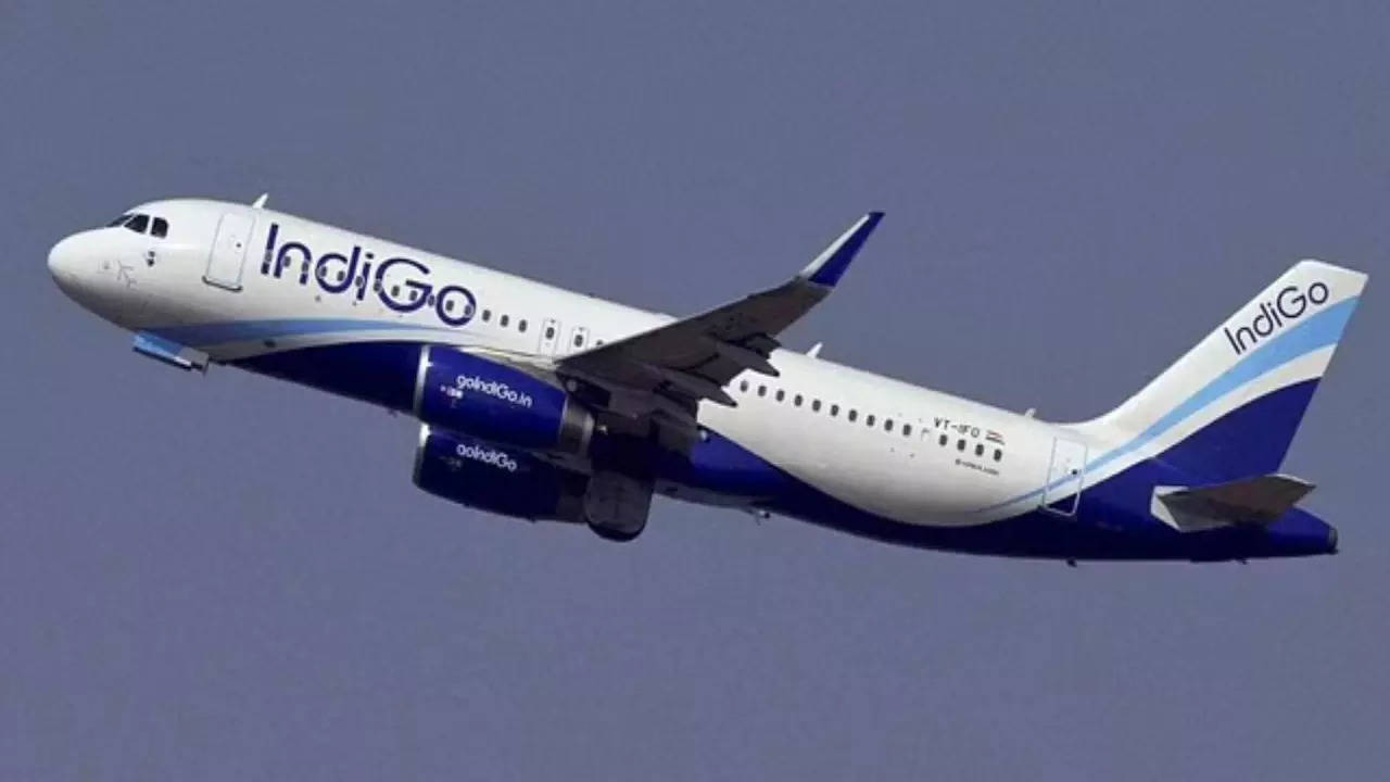 Indigo flight