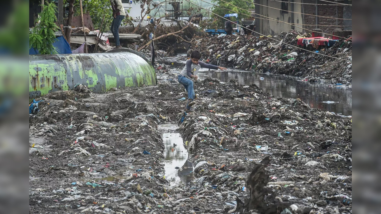 Delhi: MCD to give inert soil to public to fill low-lying areas free of cost