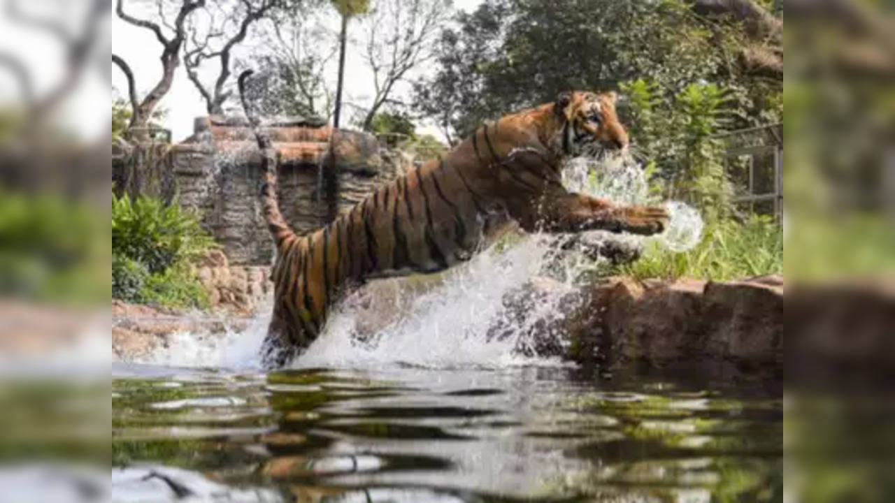 Mumbai zoo - PTI