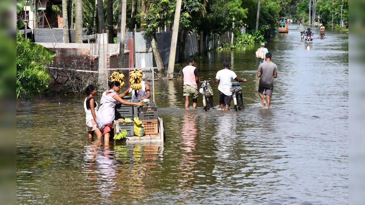 assam flood 2022