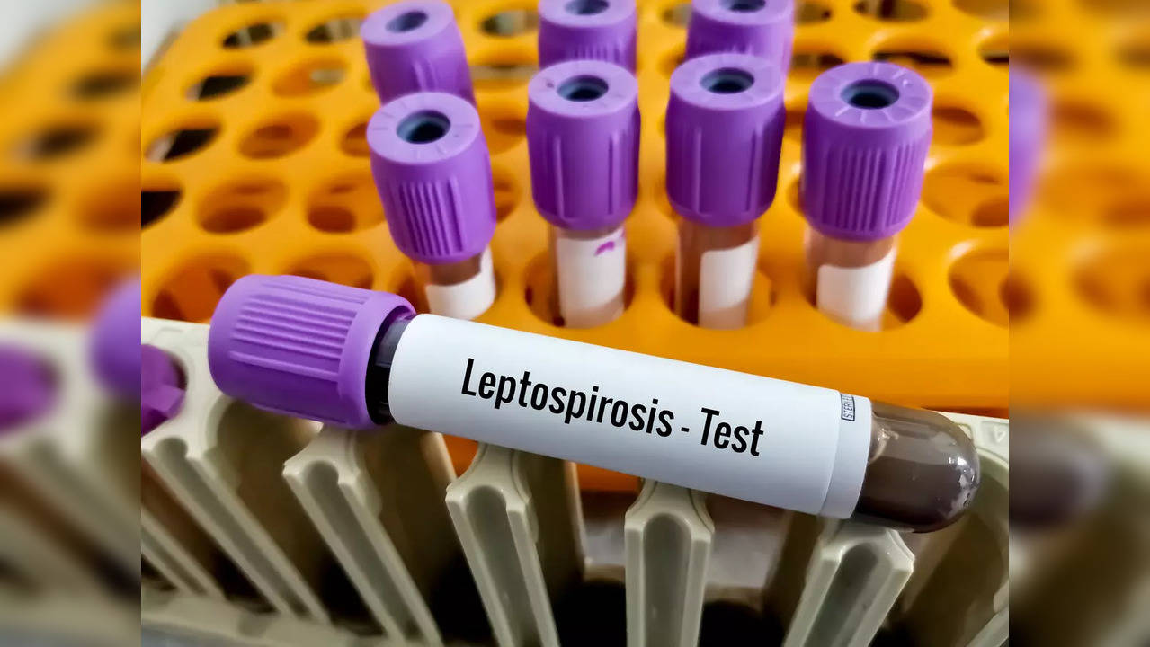 leptospirosis